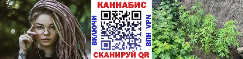 где можно купить   Змеиногорск  МАРИХУАНА тримм 